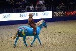 Quadrille - 00482